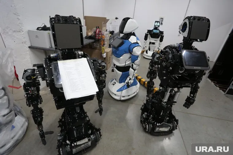 На роботов учебные заведения потратили 73 млн рублей