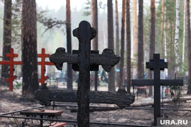 Во время праздничного торжества гостям придется смотреть на кладбище