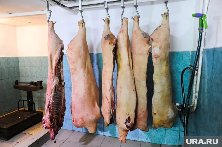 Российские производители нарастили поставки мяса и пива на Украину