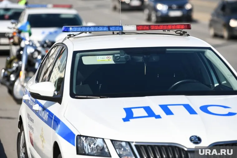 ДПС остановила парня для проверки документов