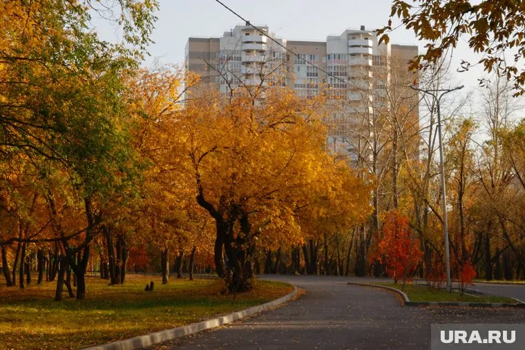 Теплая осень ждет жителей южных регионов России