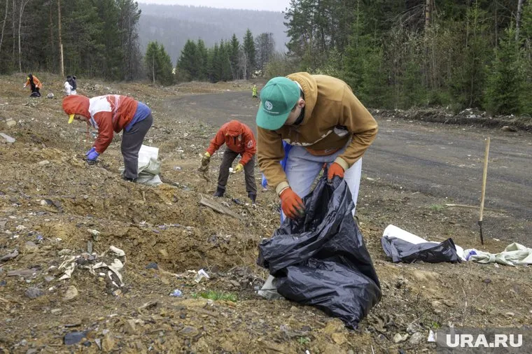Субботник в Губкинском пройдет 7 июня (архивное фото)