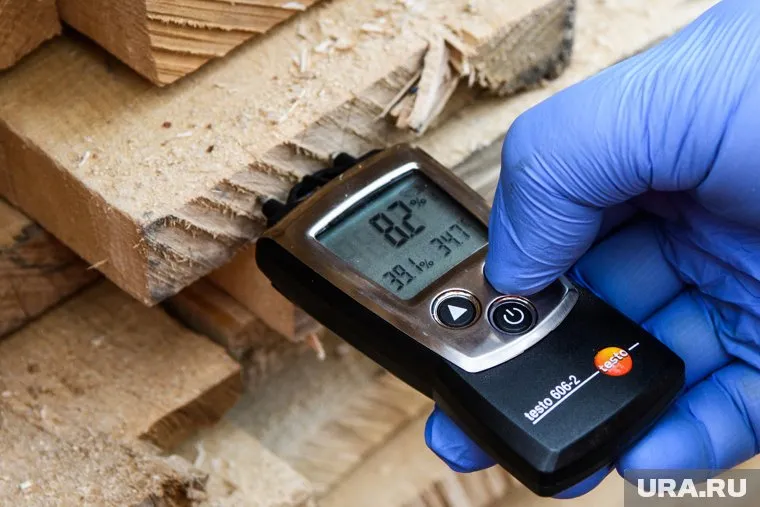 Россельхознадзор проконтролировал поставки леса из Перми в Азербайджан (архивное фото)