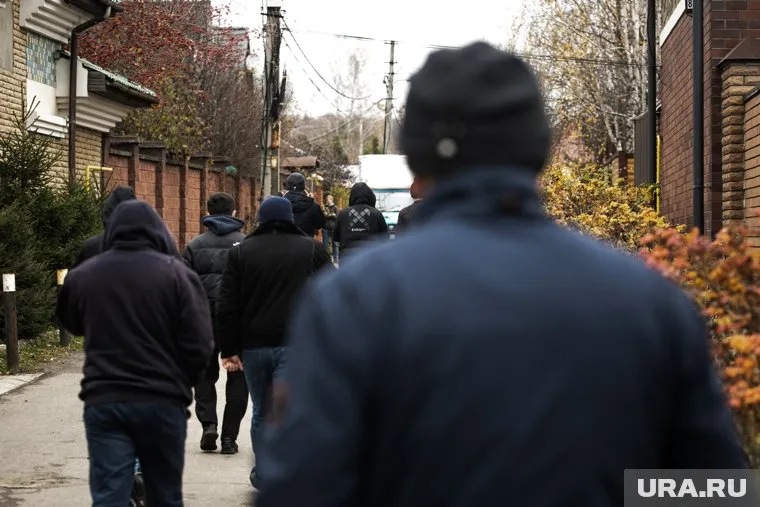 В Подмосковье расследуют дело о массовой драке мигрантов