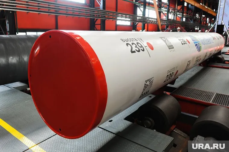 Бербок не может отказаться от газопровода, хотя и выступает против подобных источников энергии, сообщает публицист