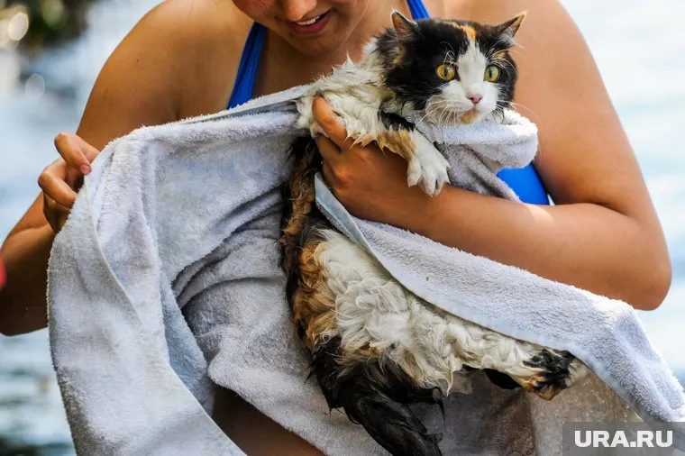 Летняя жара ненадолго вновь вернется на Урал