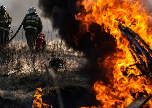 Фотография из галереи