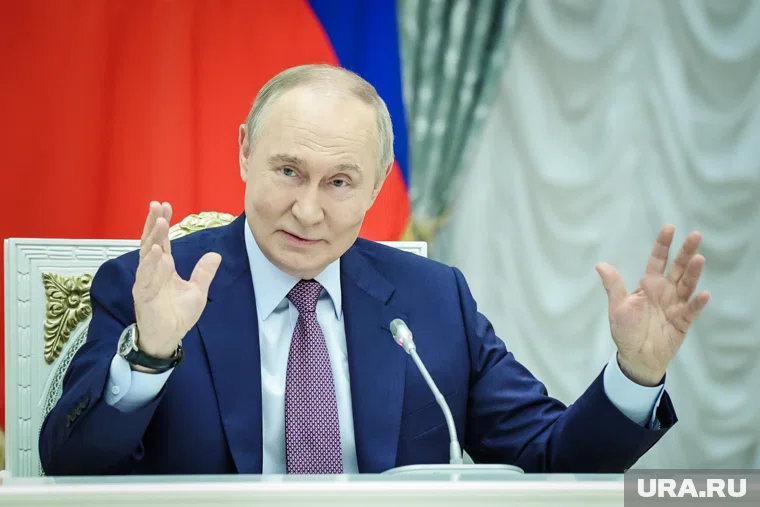 За шесть встреч у Путина с Уиткоффом сложились прекрасные взаимоотношения