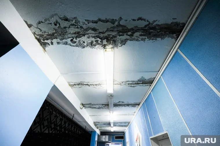 В доме случился потом из-за затяжного капремонта