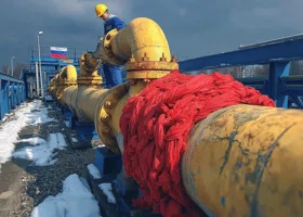 Фотография из галереи