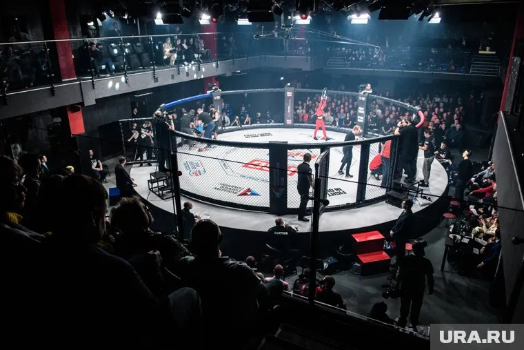 Лола Тейлор приняла участие в мастер-классах по борьбе и рукопашному бою (архивное фото)