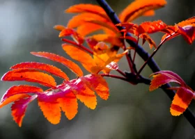 Челябинцам пообещали резкое потепление в выходные