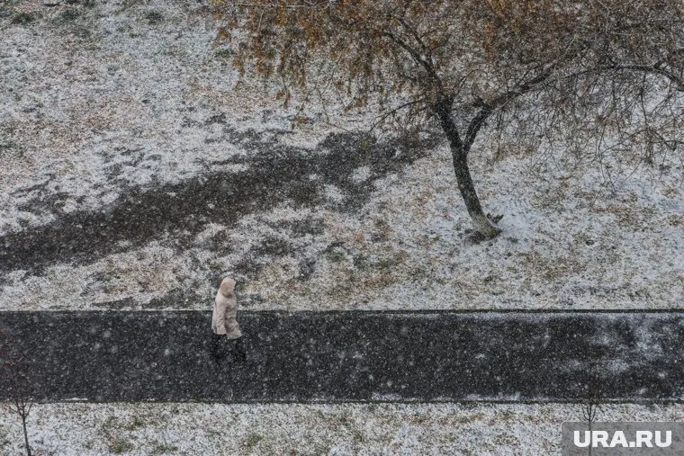 После теплого периода в Россию пришли заморозки