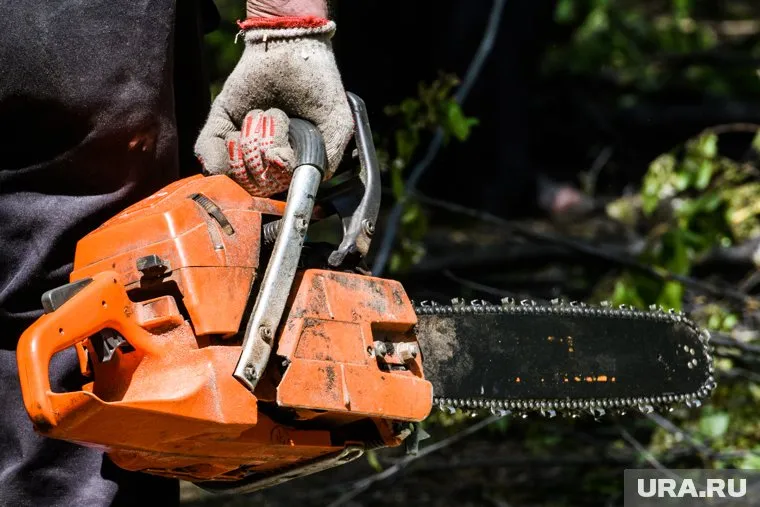 Мобилизованным курганцам передали бензопилы на фронт