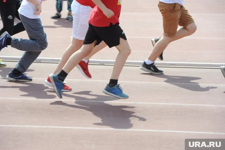 Все собранные средства будут направлены в благотворительный фонд «Ямине»