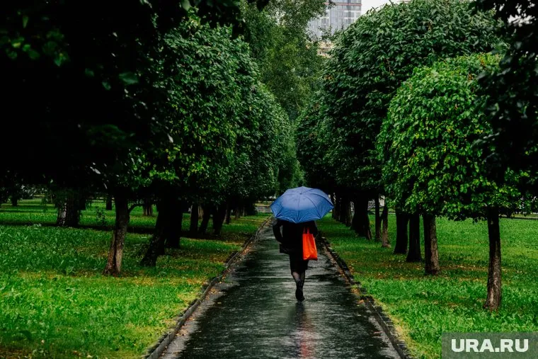 Температура местами в ХМАО ночью опустится до +5