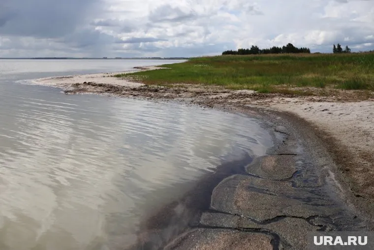 Курганцы смогут проехать к озеру Медвежье по новой дороге (архивное фото)