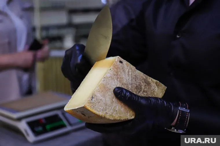 Название сырной новинки утвердят жители Ямала (архивное фото)