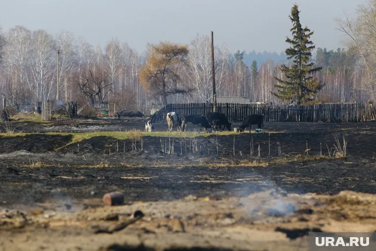Курганских дачников массово штрафуют