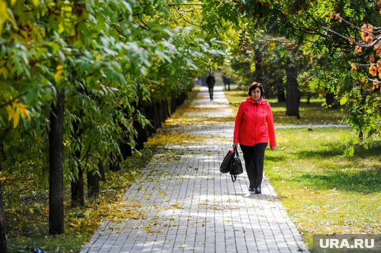 Золотая осень ненадолго вернется в Челябинскую область