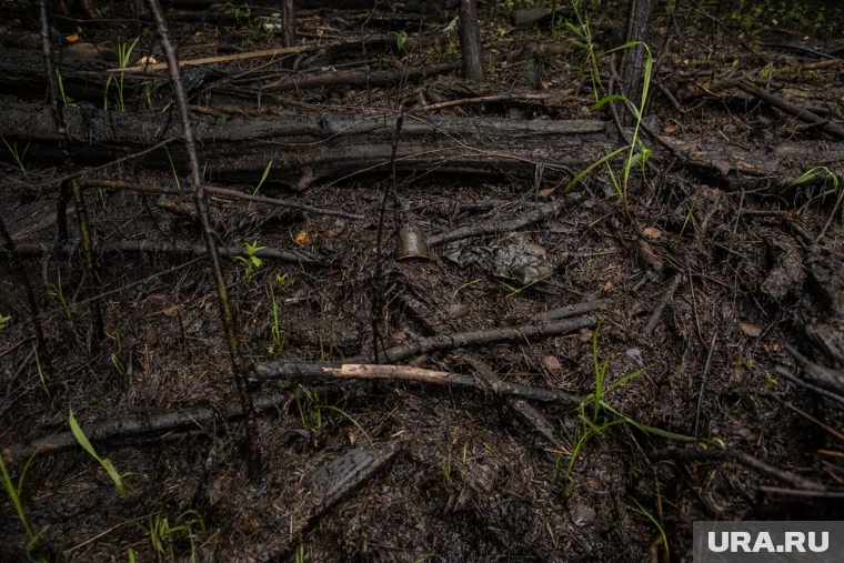 За разлив нефти компания заплатила 6,6 миллиона рублей в бюджет (архивное фото)