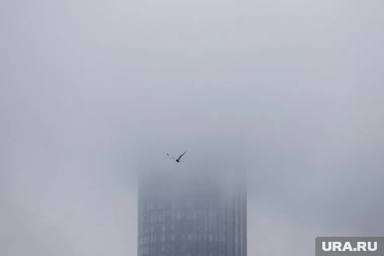 Смог особенно опасен для детей, пожилых людей и людей с хроническими заболеваниями