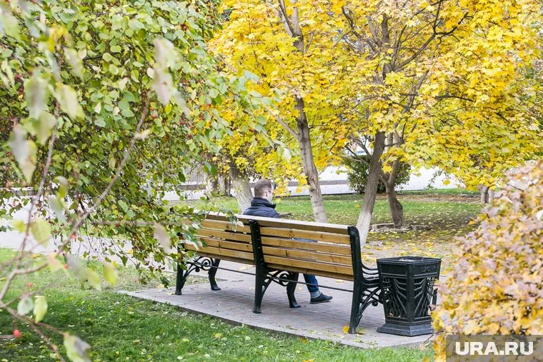 В регионах Сибири и Урала погода опережает свое развитие на три недели