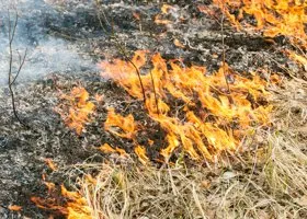 В Тюменской области начала гореть сухая трава