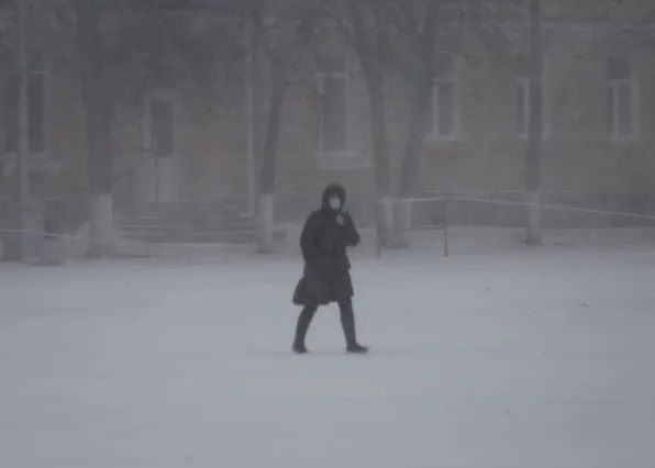 Фотография из галереи