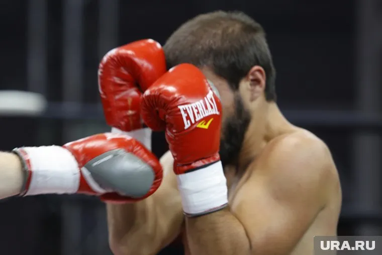 Российские юниоры блеснули на первенстве Европы по боксу