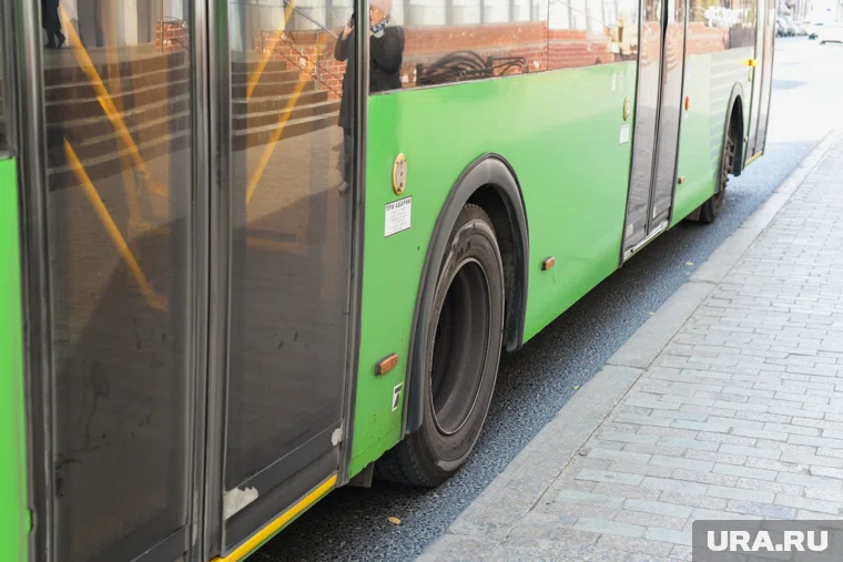 Новые автобусы станут зелеными позднее