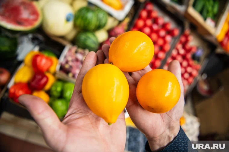 Абхазия нарастила поставки цитрусовых в Россию