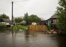 Фотография из галереи