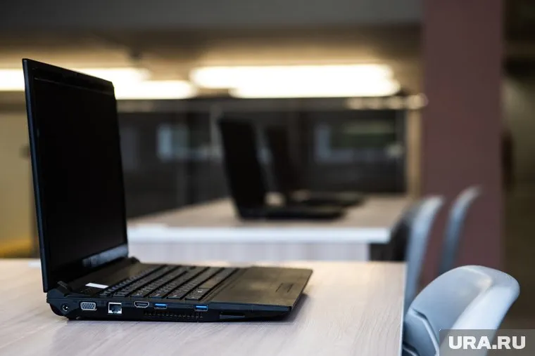 Из-за удаленного режима работы сотрудники присылают друг другу скриншоты