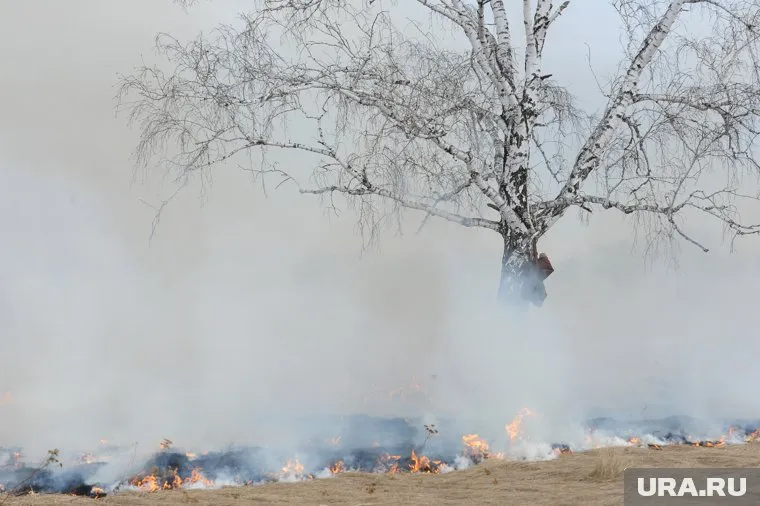 Сегодня на Ямале ввели режим ЧС из-за пожаров
