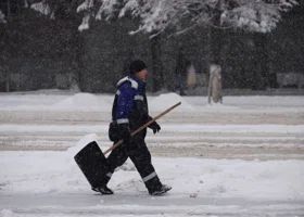 Фотография из галереи