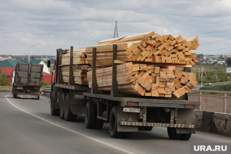 Курганского торговца лесом прочат в депутаты