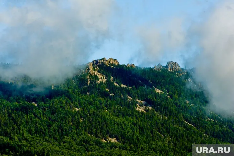 В нацпарке строчки вырастают одними из первых