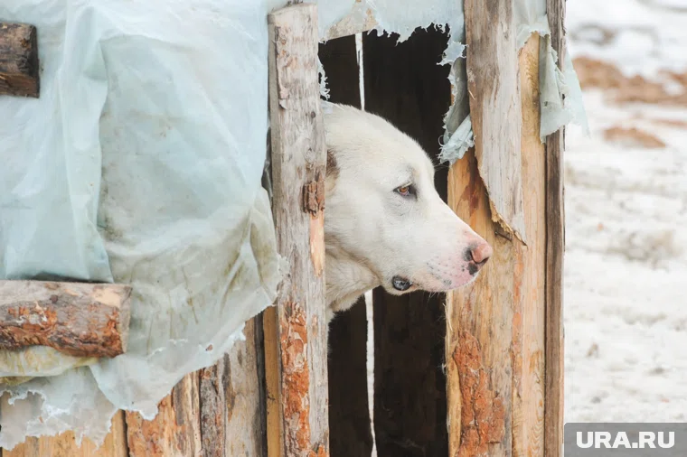 Не бойтесь слухов — правда часто оказывается страшнее