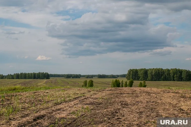 Зауральцам не удастся провести длинные выходные на природе