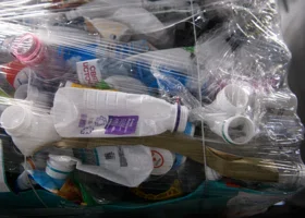 Уроки китайского языка и миллиарды на мусор: главное в Кургане за 10 ноября