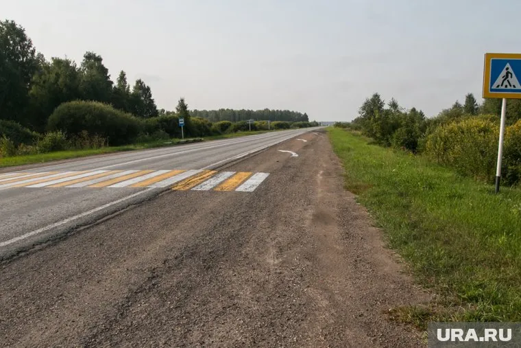 Школьница переходила проезжую часть по переходу