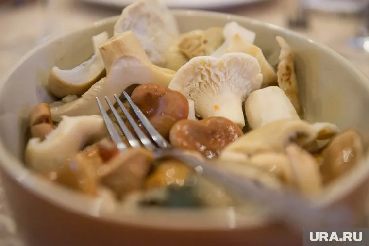 Недосоленые грузди вызовут отравление, сказал Даменик Кассанелли