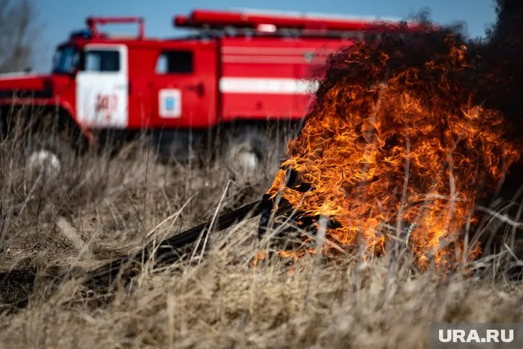 В садовом товариществе «Луч» загорелось шесть домов