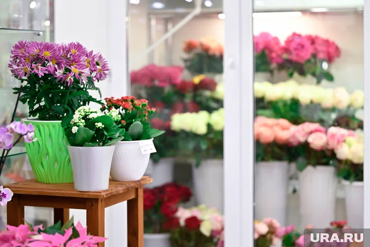 Первый цветочный салон «Фан-Фан» появился в Перми в 2011 году
