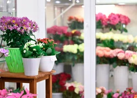 Фотография из галереи