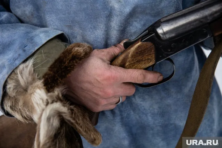 Животных будут отстреливать охотники