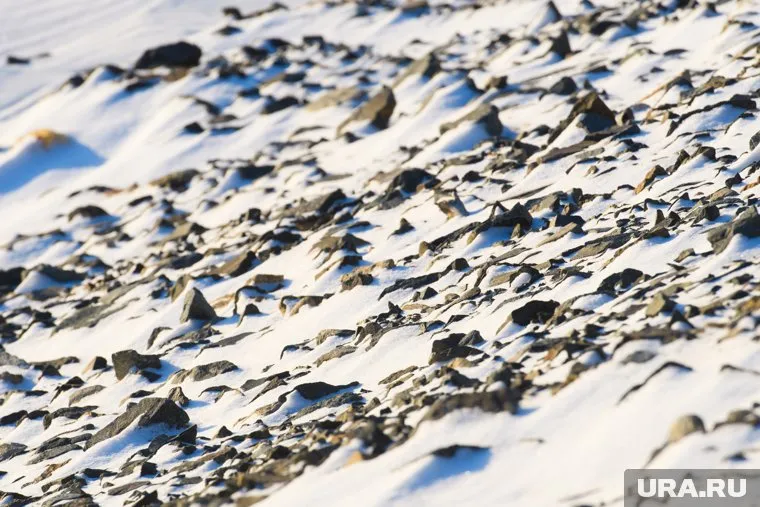Снег выпал в Челябинской области и Прикамье