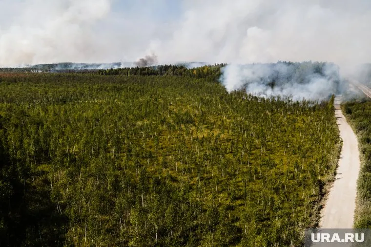 Лесной пожар уничтожает следы человека, который стал причиной возгорания