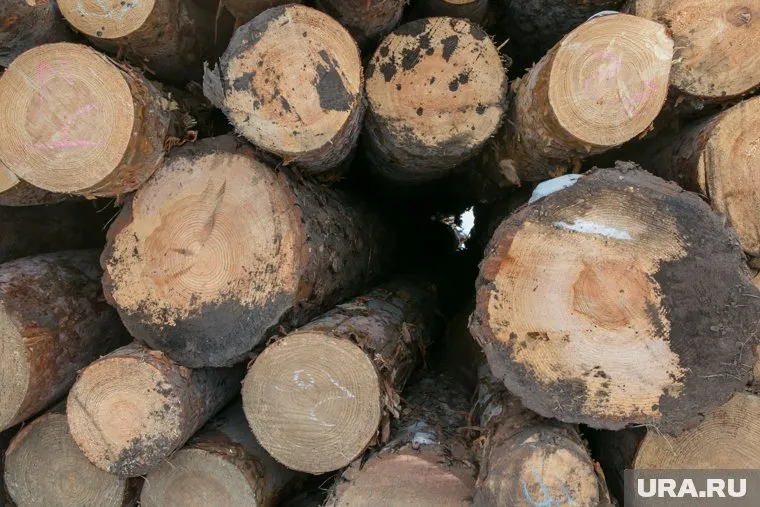 Нелегалов будут отслеживать при помощи камер